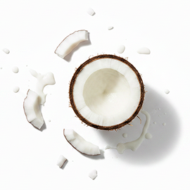 Coconut Oil