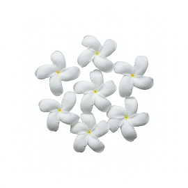 Pinwheel Flower